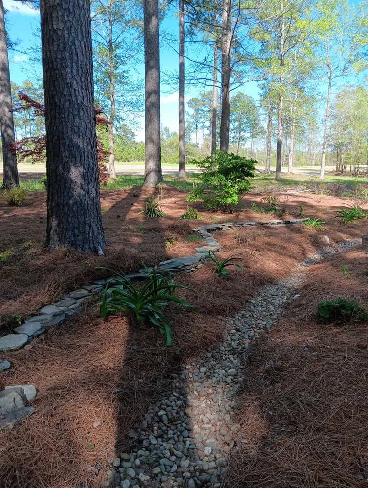 Trusted yard maintenance in Havelock, NC by Zen Willow Landscape and Consulting