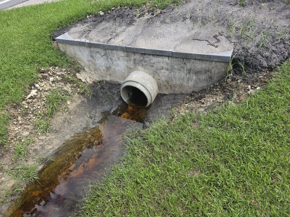 Top-rated lawn care service for year-round maintenance across Havelock, NC - Zen Willow Landscape and Consulting