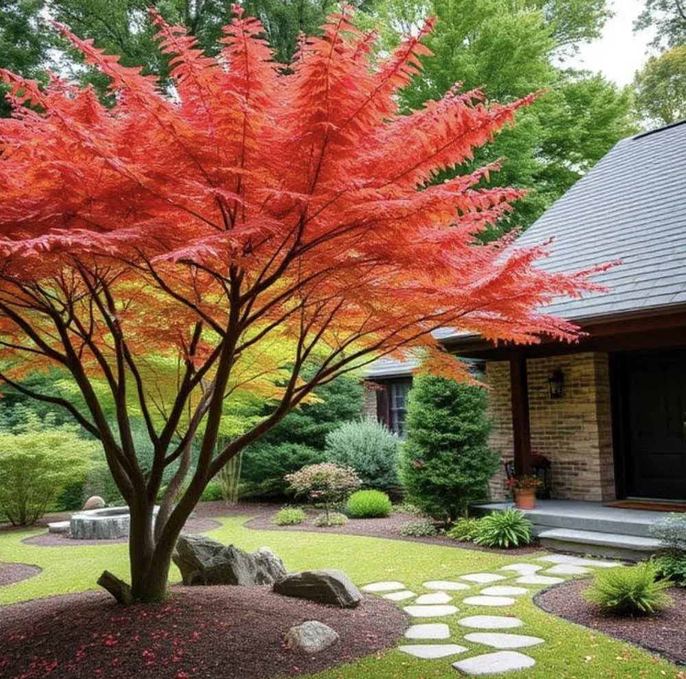 Expert lawn mowing service for beautiful yards across Havelock, NC - Zen Willow Landscape and Consulting