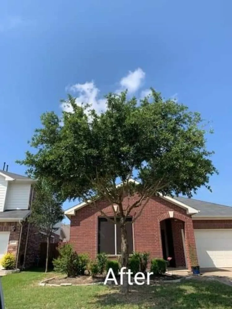 Top-rated landscaping services in Richmond, TX by Zena's Lawn Service