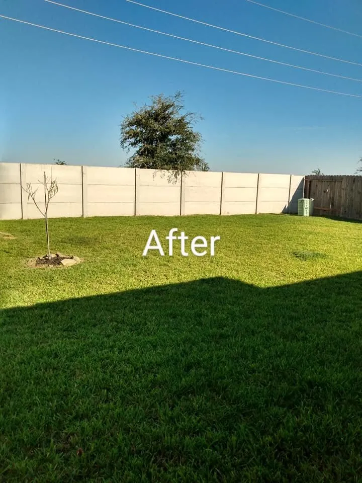 Top-rated yard maintenance in Richmond, TX - Zena's Lawn Service
