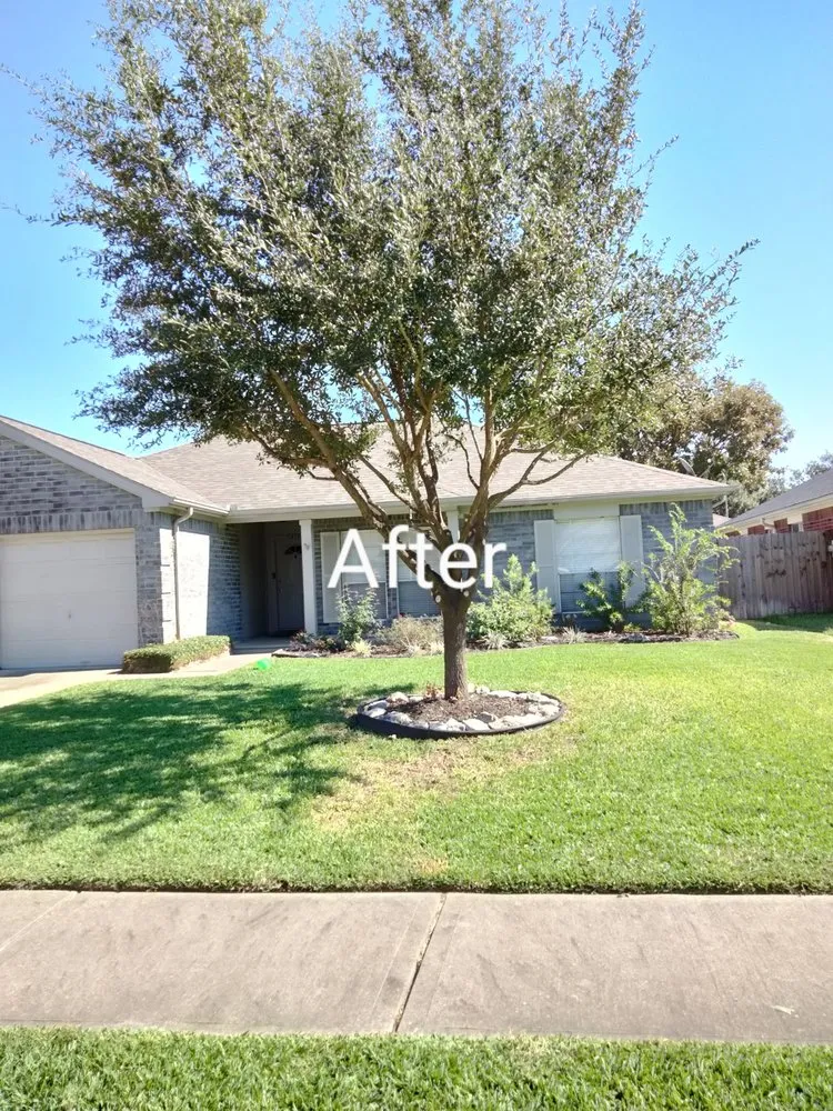 Expert landscaping services for residential properties across Richmond, TX - Zena's Lawn Service