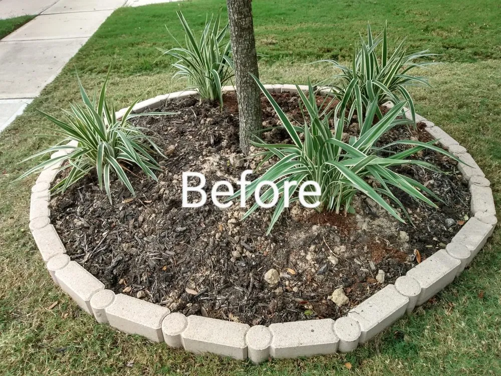 Affordable residential landscaping experts serving Richmond, TX - Zena's Lawn Service