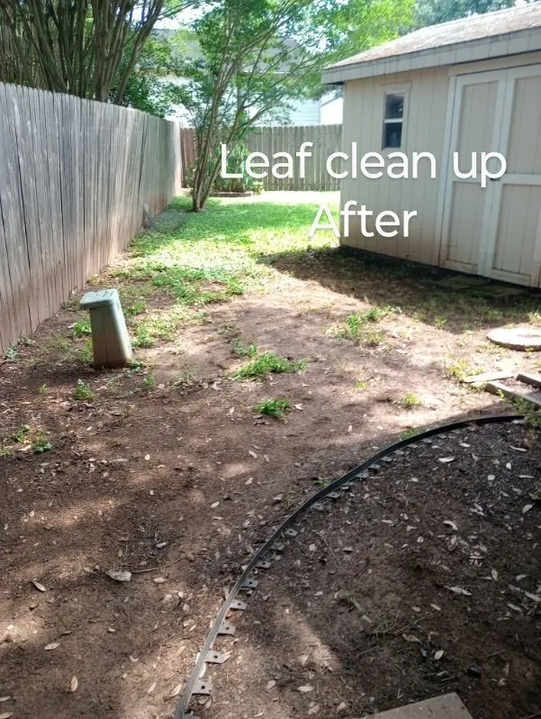 Professional residential landscaping in Richmond, TX by Zena's Lawn Service