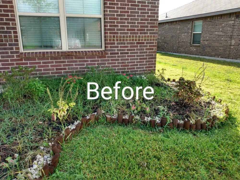 Reliable lawn mowing service experts serving Richmond, TX - Zena's Lawn Service