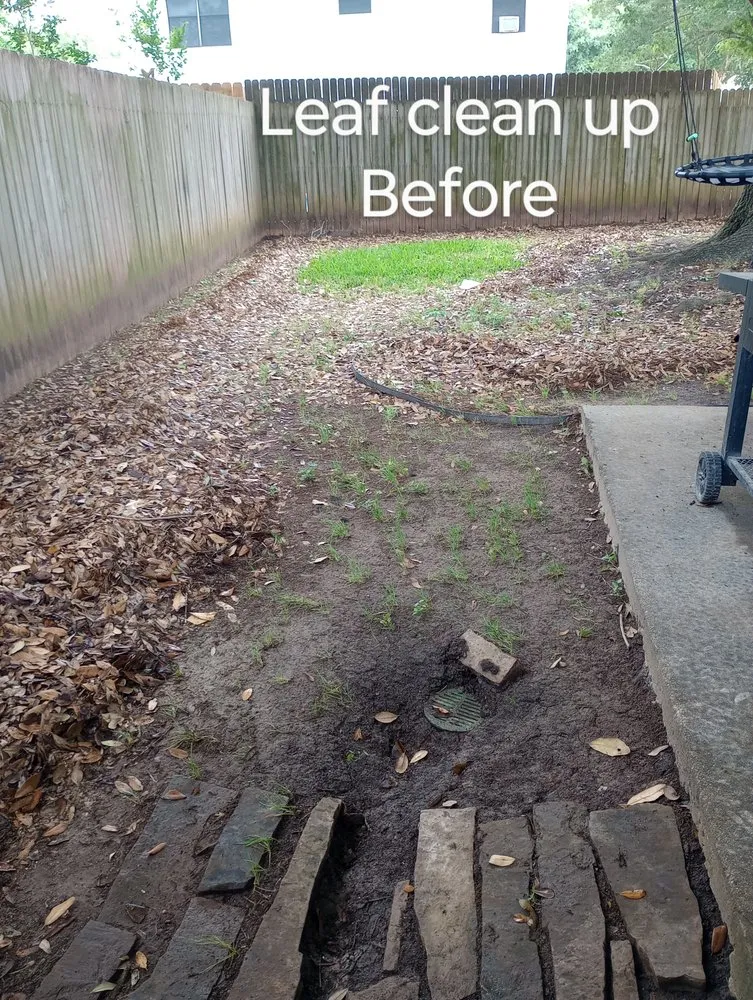 Expert landscaping services for beautiful yards across Richmond, TX - Zena's Lawn Service