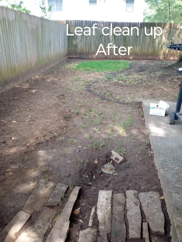 Expert landscaping services for outdoor upgrades across Richmond, TX - Zena's Lawn Service