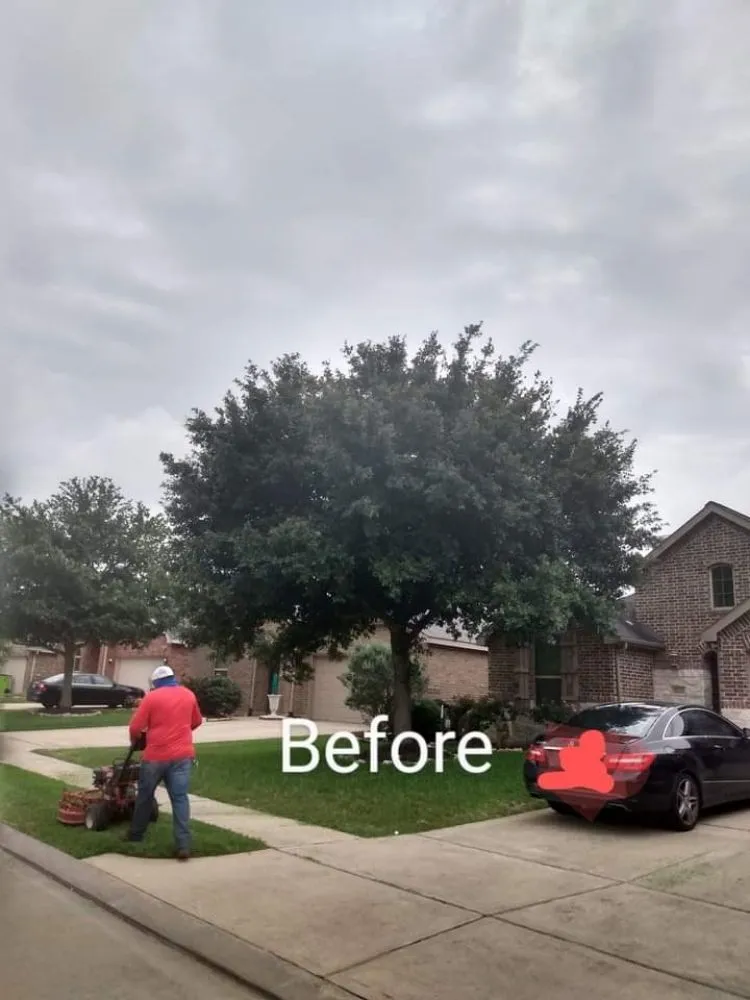 Custom landscape installation for beautiful yards in Richmond, TX by Zena's Lawn Service