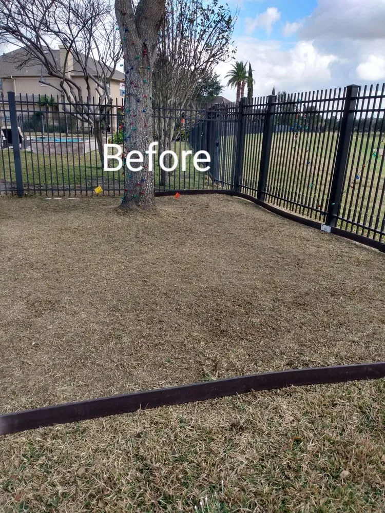 Local landscape installation for outdoor upgrades across Richmond, TX - Zena's Lawn Service
