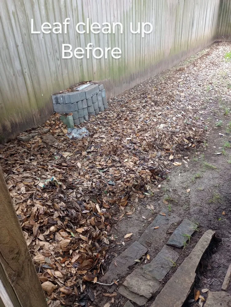 Expert lawn mowing service for homes in Richmond, TX by Zena's Lawn Service