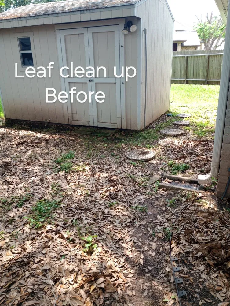 Expert yard maintenance near you in Richmond, TX by Zena's Lawn Service