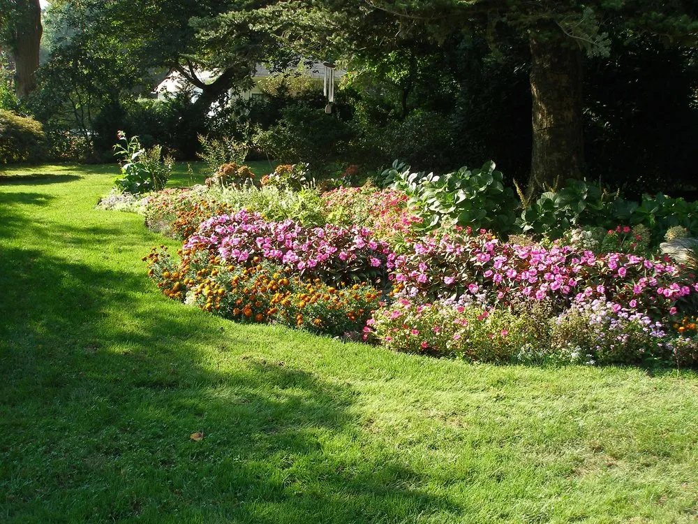 Expert yard maintenance experts serving Lynbrook, NY - Zenie Landscaping