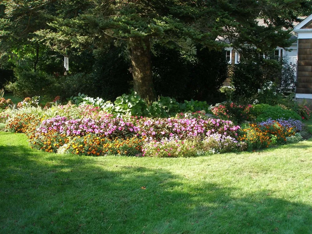 Custom lawn care service in Lynbrook, NY - Zenie Landscaping