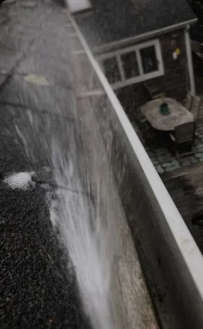 Trusted yard maintenance near you in Bridgeport, CT by ZENIO FRESH GUTTERS AND LANDSCAPING