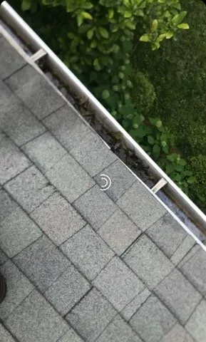 Trusted garden landscaping in Bridgeport, CT - ZENIO FRESH GUTTERS AND LANDSCAPING