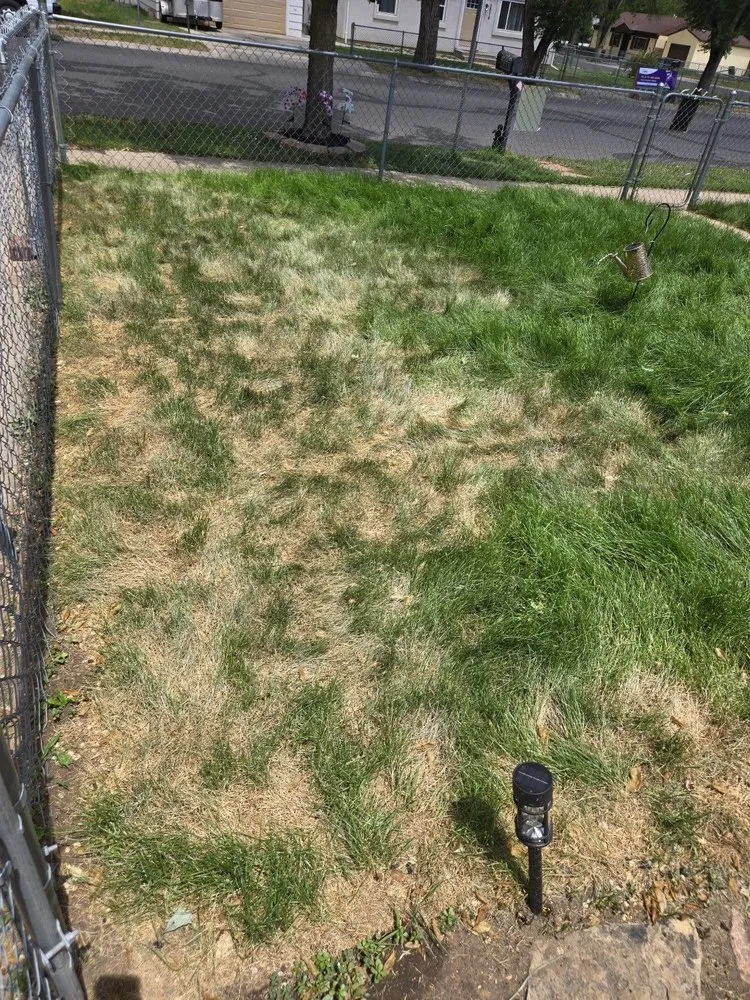 Top-rated garden landscaping in Colorado Springs, CO by Zenith Contracting