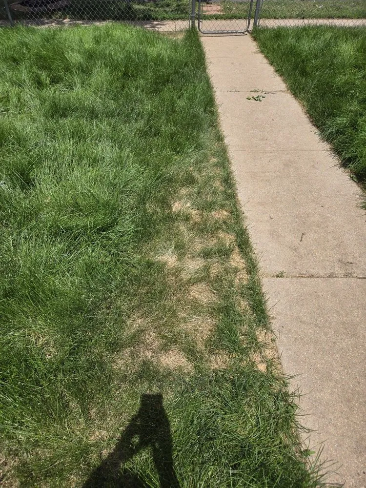 Reliable yard maintenance for homes across Colorado Springs, CO - Zenith Contracting