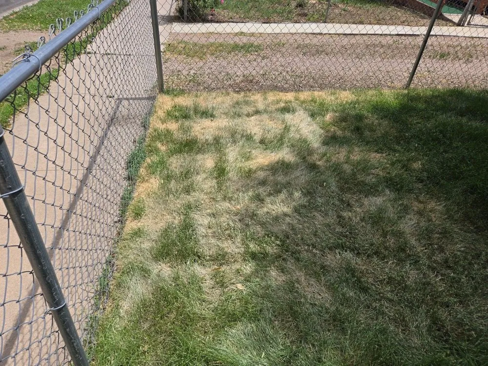 Top-rated landscape installation for beautiful yards across Colorado Springs, CO - Zenith Contracting