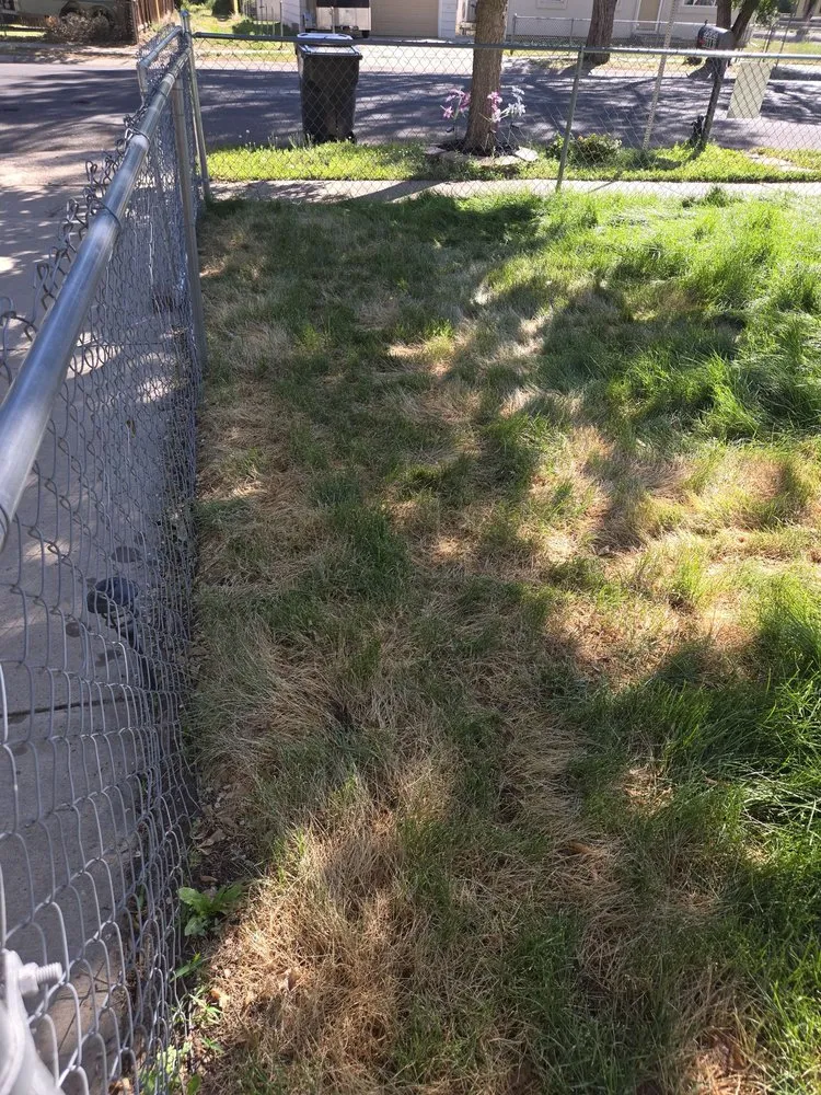 Reliable garden landscaping for outdoor upgrades across Colorado Springs, CO - Zenith Contracting