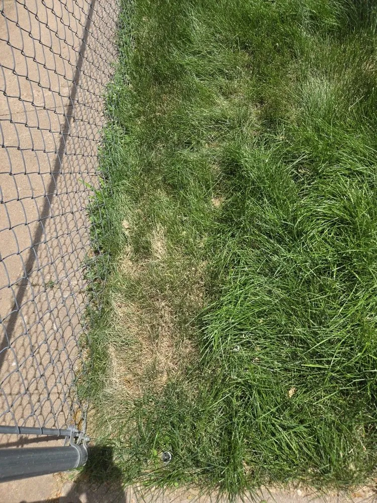 Local residential landscaping for outdoor upgrades in Colorado Springs, CO by Zenith Contracting