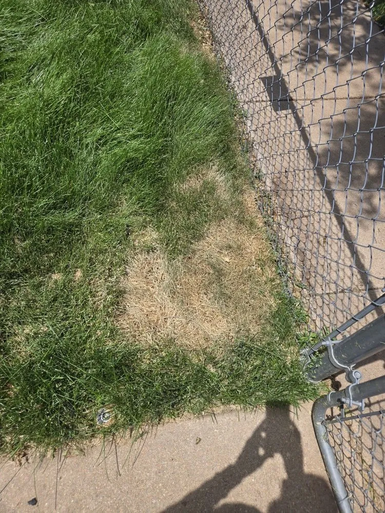 Top-rated landscape installation for outdoor upgrades in Colorado Springs, CO by Zenith Contracting