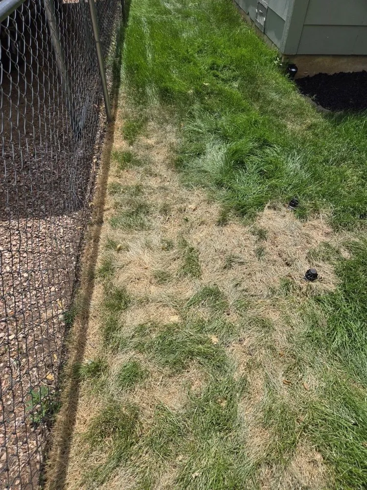 Custom lawn mowing service in Colorado Springs, CO by Zenith Contracting