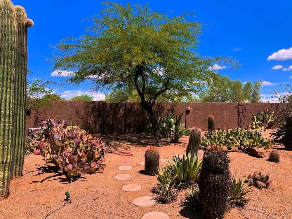 Reliable residential landscaping for beautiful yards across Cave Creek, AZ - Zenith Landscaping AZ