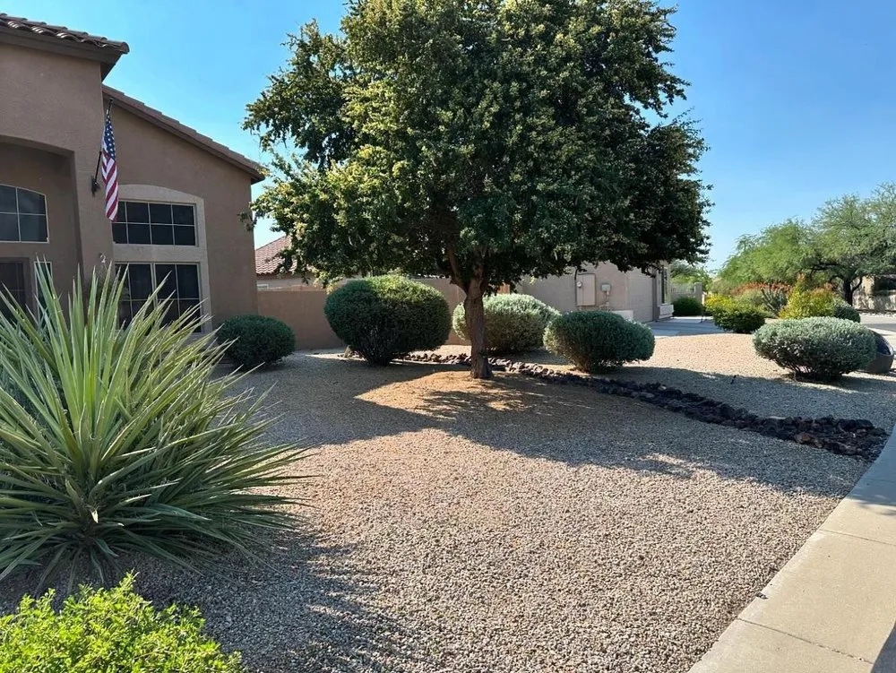 Local lawn care service for year-round maintenance across Cave Creek, AZ - Zenith Landscaping AZ