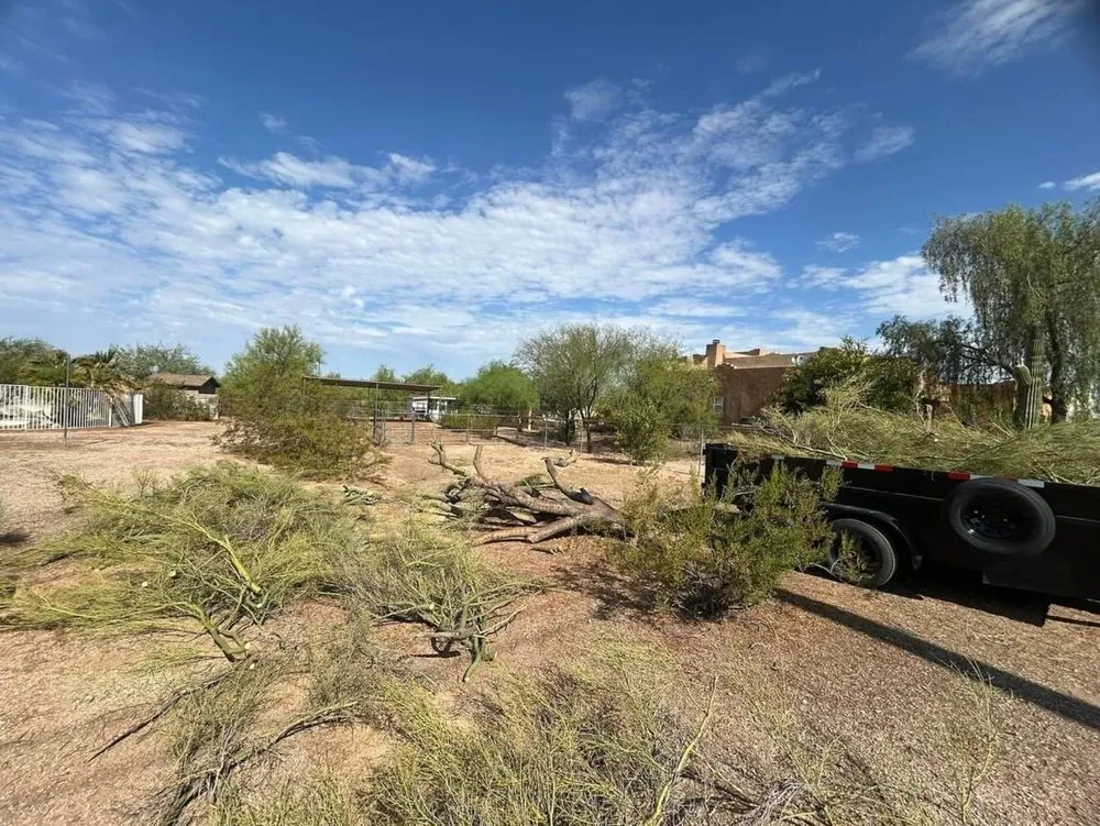 Trusted landscape installation for beautiful yards in Cave Creek, AZ by Zenith Landscaping AZ