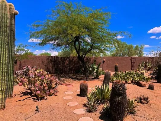 Zenith Landscaping AZ