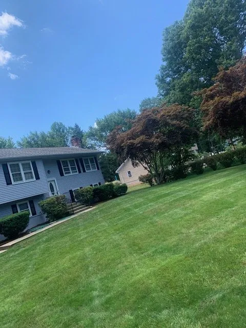 Custom yard maintenance for homes in New Haven, CT by Zenitram landscaping