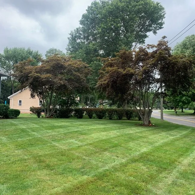 Local yard cleanup service for beautiful yards across New Haven, CT - Zenitram landscaping