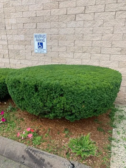 Trusted outdoor landscaping in New Haven, CT - Zenitram landscaping