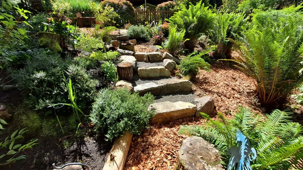 Reliable yard maintenance in Auburn, WA - Zenji Landscape Construction