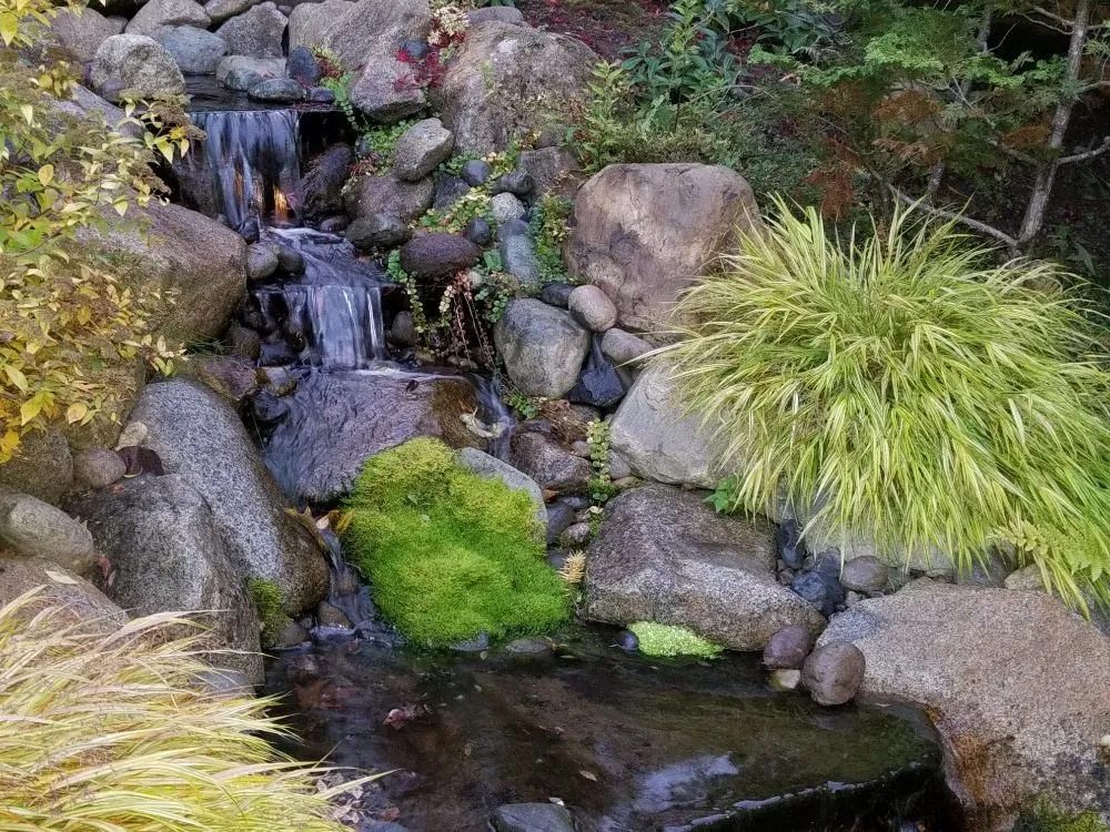 Trusted lawn mowing service in Auburn, WA - Zenji Landscape Construction