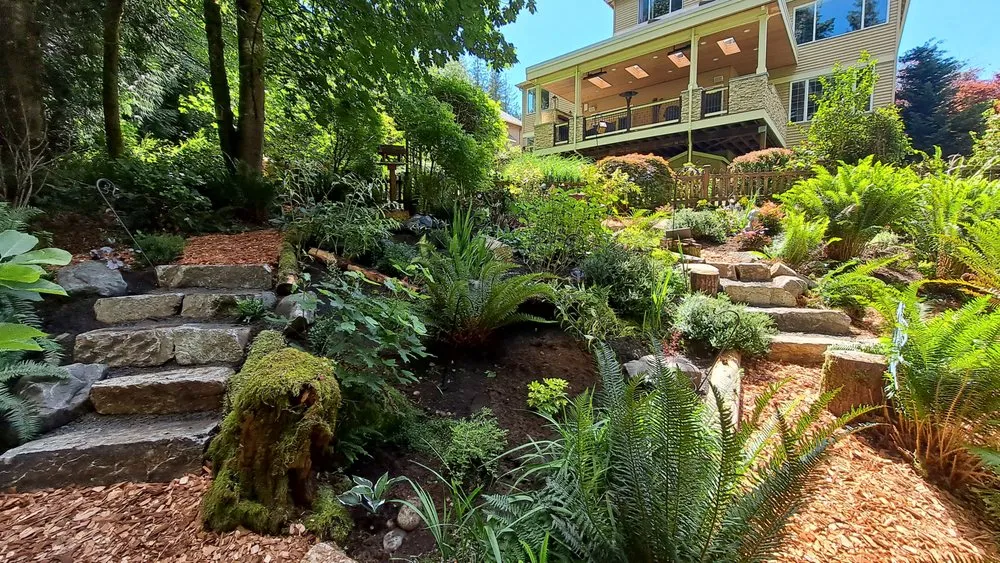 Professional lawn mowing service for beautiful yards in Auburn, WA by Zenji Landscape Construction