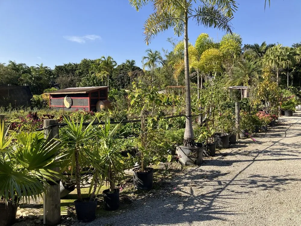 Affordable yard maintenance experts serving Davie, FL - Zensations Garden