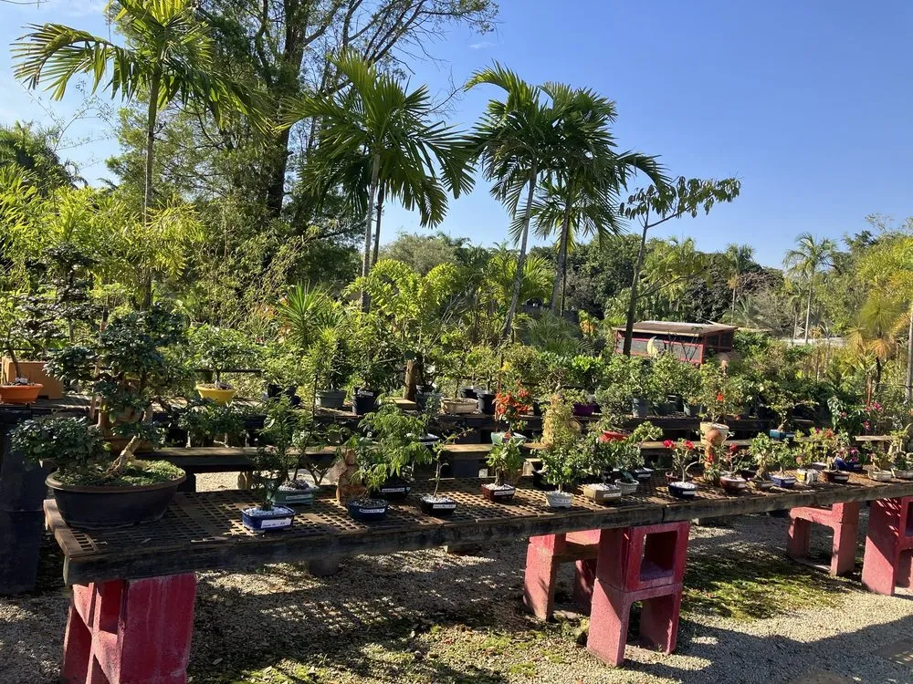 Trusted lawn care service for outdoor upgrades in Davie, FL by Zensations Garden