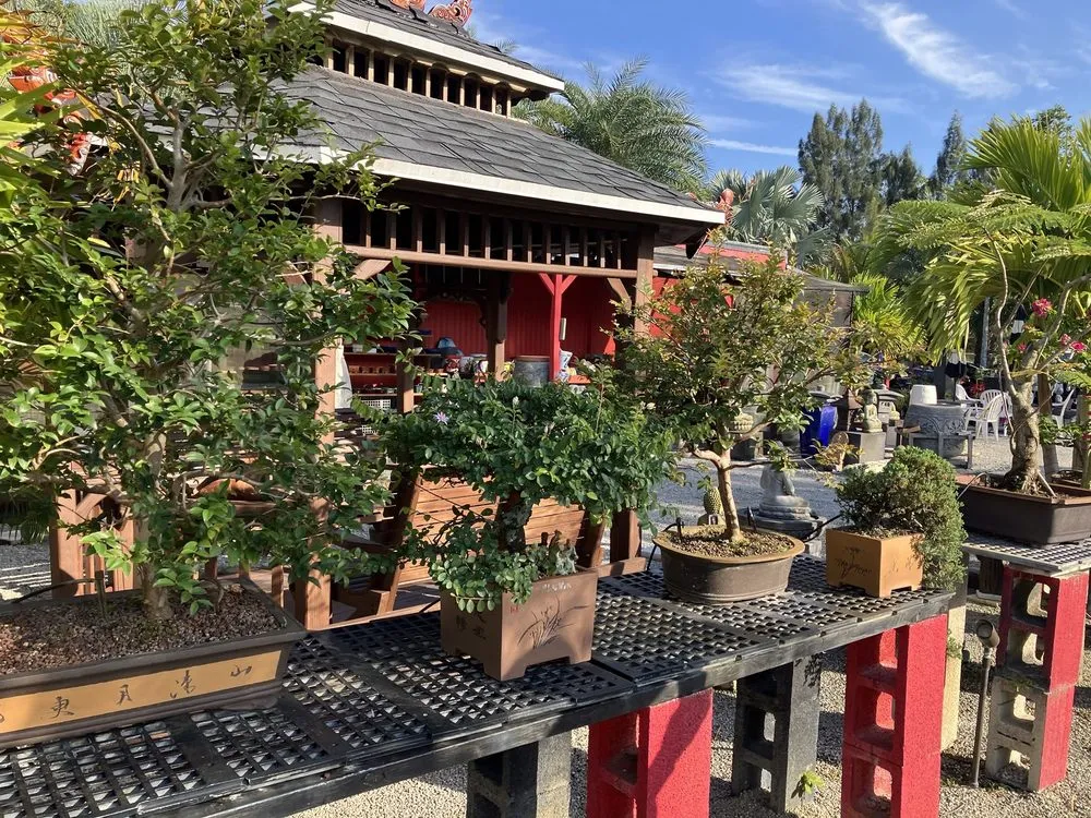 Top-rated residential landscaping experts serving Davie, FL - Zensations Garden