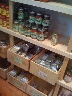 Affordable yard cleanup service experts serving Davie, FL - Zensations Garden