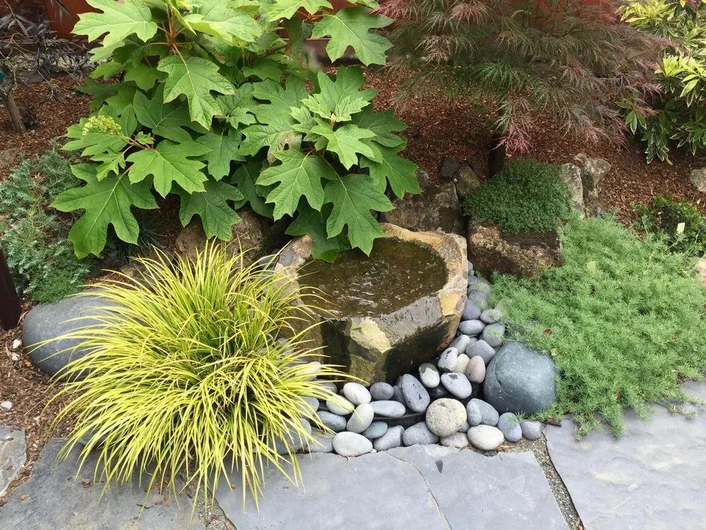 Professional residential landscaping for homes in San Francisco, CA by Zenscape