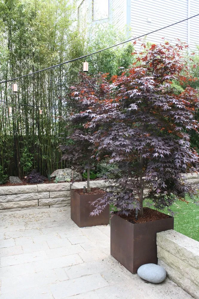 Local yard maintenance experts serving San Francisco, CA - Zenscape