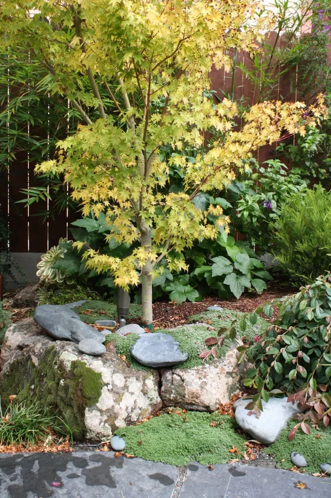 Top-rated residential landscaping in San Francisco, CA - Zenscape