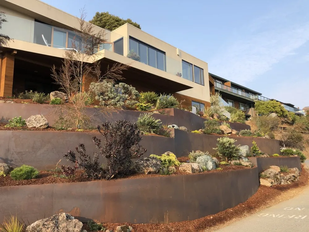 Reliable yard cleanup service in San Francisco, CA by Zenscape