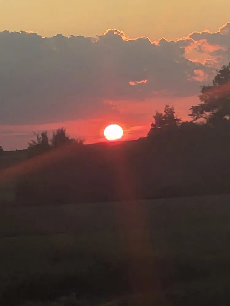 Reliable landscape installation in Kansas City, KS by Zenscapes Home and Lawn