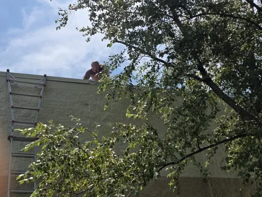 Zenscapes Home and Lawn Logo