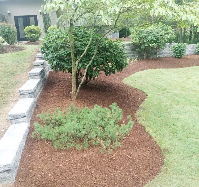 Top-rated yard maintenance for residential properties in Easton, MA by Zepeda Construction