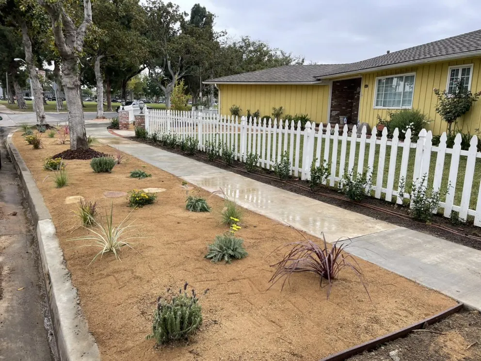 Expert yard cleanup service experts serving Long Beach, CA - Zepeda Landscaping and 24hr Irrigation Service