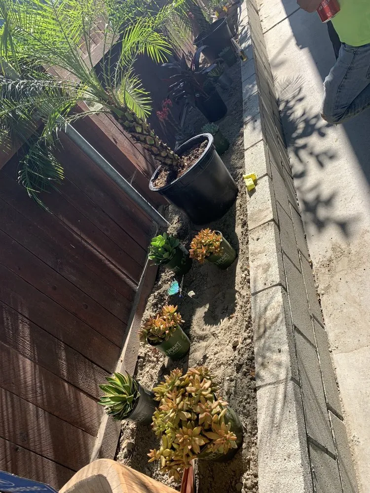 Local lawn mowing service for year-round maintenance across Long Beach, CA - Zepeda Landscaping and 24hr Irrigation Service