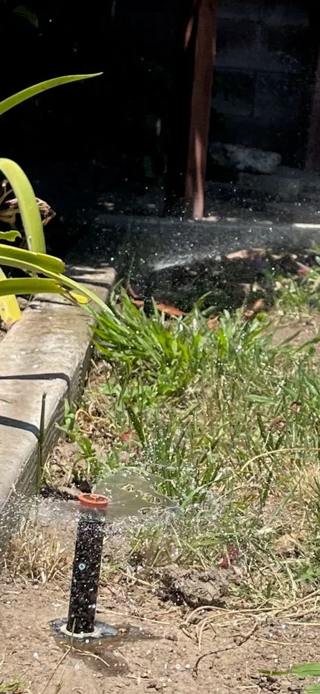 Professional lawn mowing service in Long Beach, CA by Zepeda Landscaping and 24hr Irrigation Service